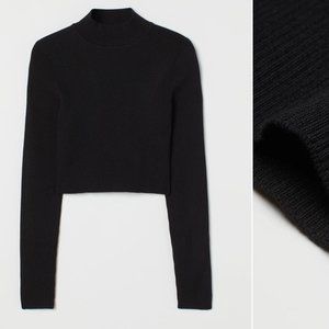 Long Sleeve Turtle Neck Knit Crop Top - Black